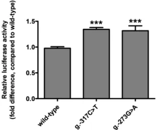 Figure 2.  EMSAs for identification of the interaction between SHP-2 promoter variations and transcription  factors