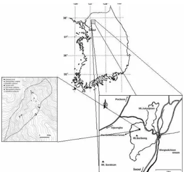 Figure 1. Location and topography of the experimental catchment and spatial distribution of measuring instrumentations and sampling points.