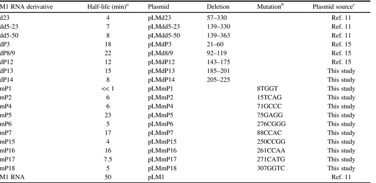 Table 1. Features and half-lives of M1 RNA deletion derivatives.
