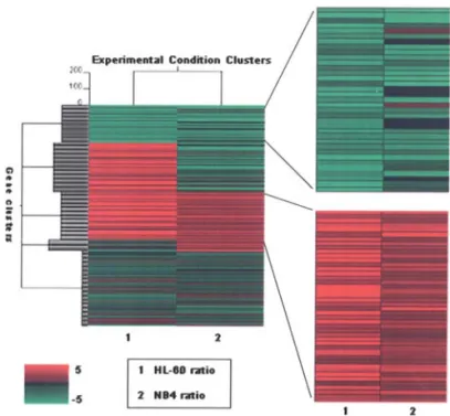 Figure 3. Clustering of the significant genes by K-means clustering. Clustering gene expression levels are indicated by color, with red representing a high expression and green representing a low expression in GPG cells