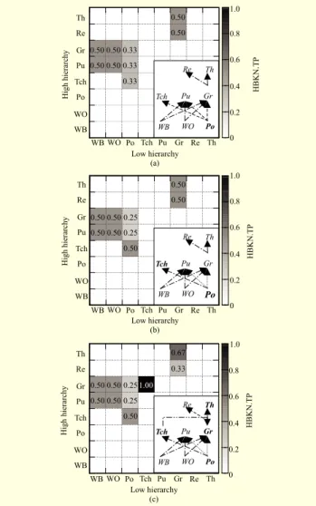 Fig. 5.  HBKN(ball). TP and the developed HBKN structure for the