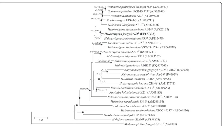 Fig. 2 Transmission electron micrograph of H. jeotgali A29 T . The