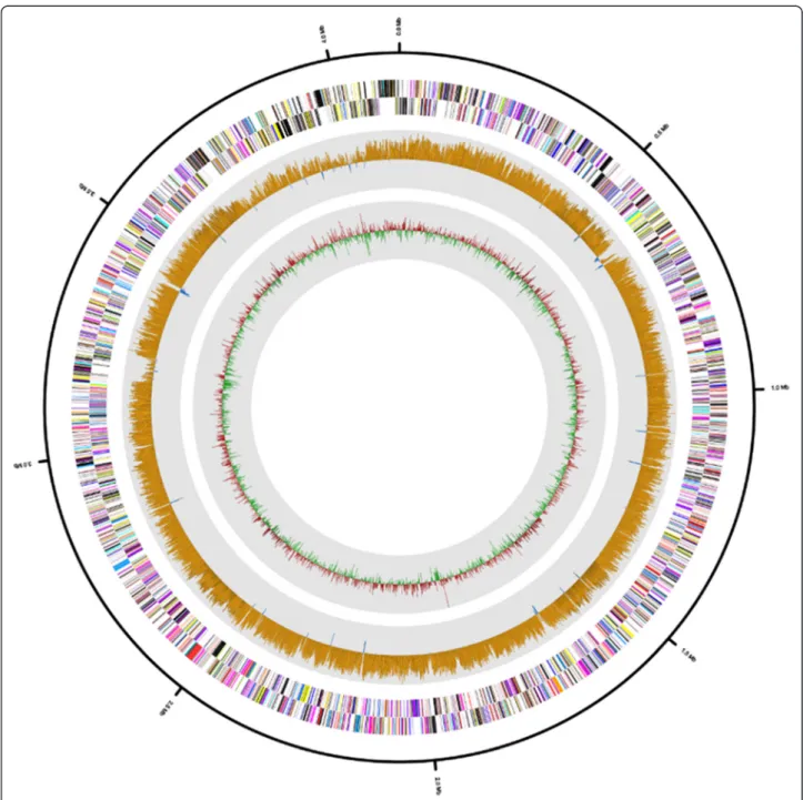 Fig. 3 Graphical circular map of the H. jeotgali A29 T genome. RNA genes (red, tRNA and blue, rRNA) and genes on the reverse and forward