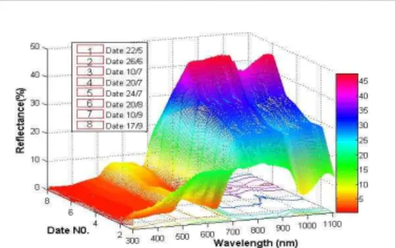Figure 1. The relationship between spectral reflectance and wavelength for paddy rice field.