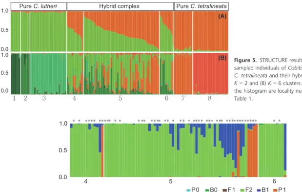 Figure 6. Bar plot of the posterior probabilities of hybrid classes for the individuals from the hybrid zone in the Dongjin River computed by NewHybrids