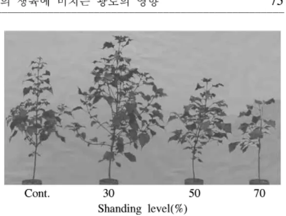Table 1. Effects of different shading levels on the growth of Perilla frutescens var 