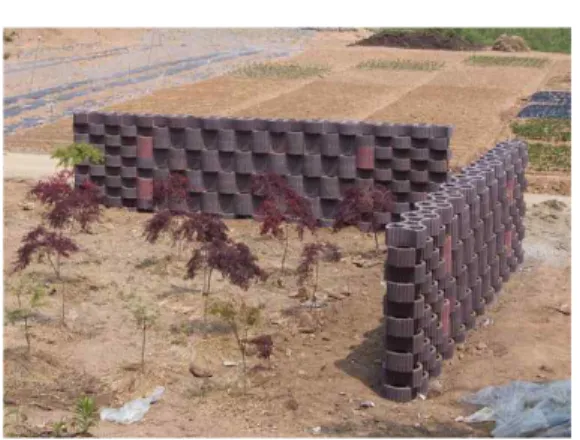 Figure 3. Experimental plots of greenery wall(May, 2001). 동시에 관수의 기능을 겸하는 파이프가 설치되 어 점적관수시설의 설치시 수분전달이 용이하 도록 하였으며 식재구에는 배수구가 설치되어 있어서 배수와 동시와 하단의 블록에 수분을 전달할 수 있도록 설계되었다