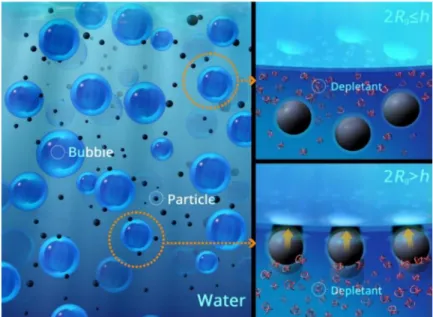 Figure 1. Schematic of the depletion interaction in a typical flotation process. The depletion agent does not influence the particle-bubble interaction when their separation distance (h) is larger than the diameter of the depletion agent (2Rg), that is, h 