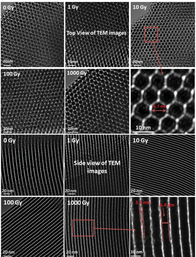 Fig. 9 SA-SBA-15 TEM images of the top view with a honeycomb-like mesoporous structure morphology and their side view of highly parallel, uniform pore and channel-like morphology as a function of gamma absorbed dose up to 1000 Gy.