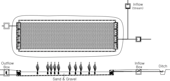 Fig. 1. Schematic plan and section of the subsurface wetland system constructed on a flood plain