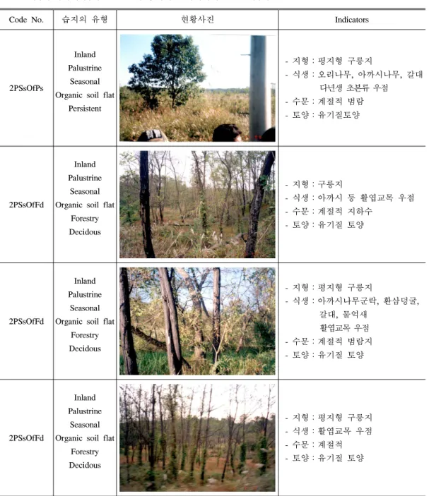 표 17. 비무장지대내 남북연결도로가 통과하는 지역에서 발견된 습지 (2)