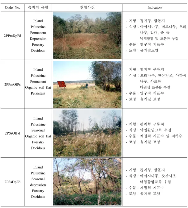 표 19. 비무장지대내 남북연결도로가 통과하는 지역에서 발견된 습지 (3)