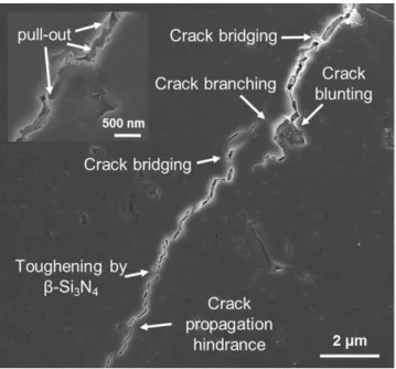 Figure 4.  Summarized toughening mechanisms of the BNNP in the Si 3 N 4  matrix. These include nanoplatelet 