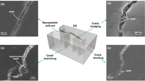 Figure 6.  Schematic image and microstructural evidence of the toughening mechanisms in the ceramic matrix: 
