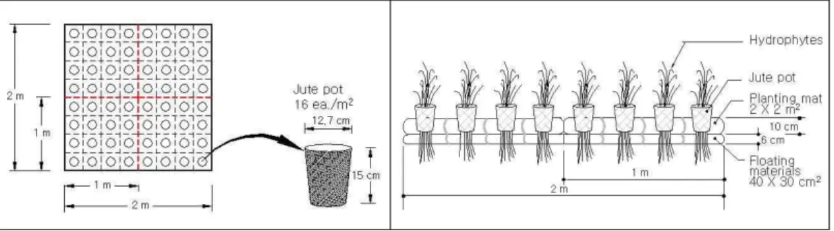 Fig. 2. Systematic diagram of floating island used in this study.