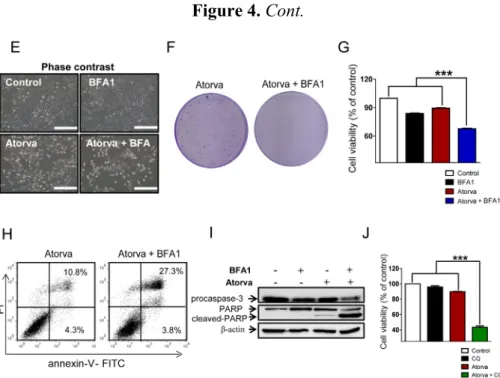 Figure 4. Cont. 