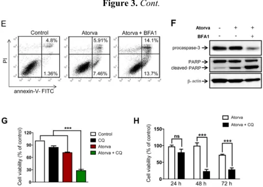 Figure 3. Cont. 