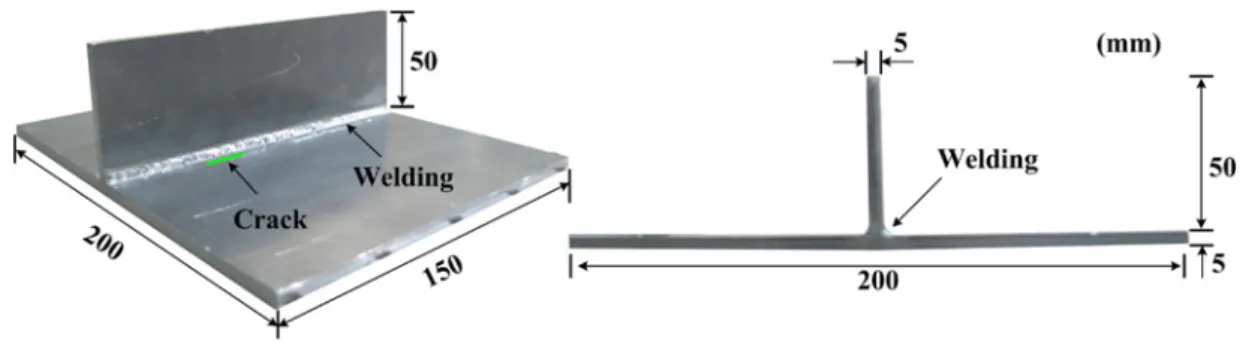 Figure 1. A vertically stiffened steel specimen with a crack. 