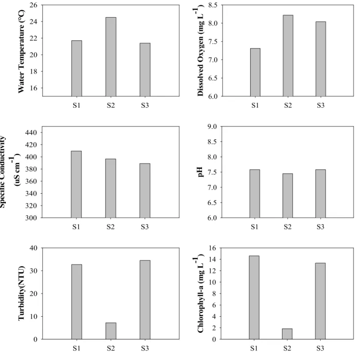 Figure  2.  Physicochemical  water  quality  in  the  stream.