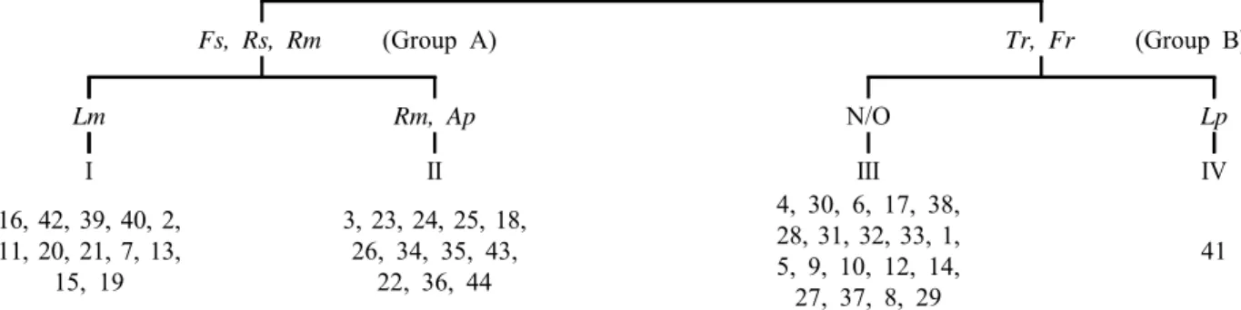 Figure  2.  The  dendrogram  of  classification  by  TWINSPAN  using  forty  four  plots(Fs:  Fraxinus sieboldiana,  Rs:  Rhododendron  schlippenbachii,  Rm:  Rhododendron mucronulatum  var