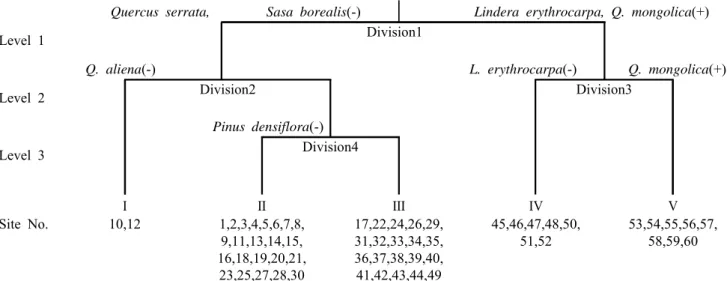 Figure  2.  The  dendrogram  of  classification  by  TWINSPAN
