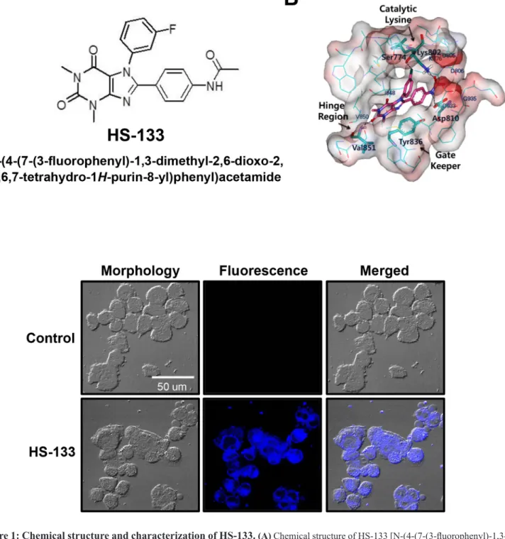 Figure 1: Chemical structure and characterization of HS-133.  (A) Chemical structure of HS-133 [N-(4-(7-(3-fluorophenyl)-1,3-