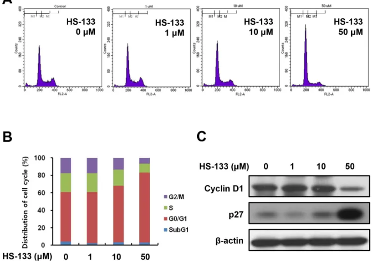 Figure 4: Effect of HS-133 on cell cycle in SkBr3 cells.  (A) SkBr3 cells were treated with HS-133 (1–50 μM) for 24 h, stained 
