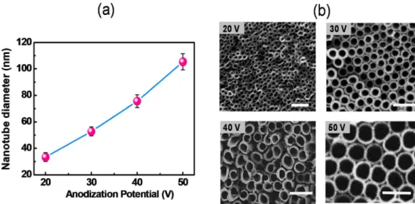 Figure 2. (a) Plot of nanotube pore diameter dependence as a function of applied potential during the 