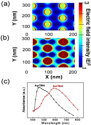 Figure 4.  Finite-difference time-domain (FDTD) simulations: Calculated electric field distribution around 