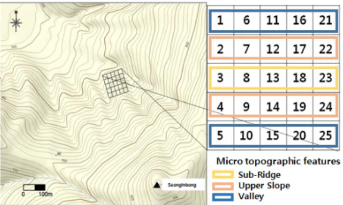 Figure  1.  Map  showing  the  micro  topographic  features  of study  site  in  Ulleung  Island.