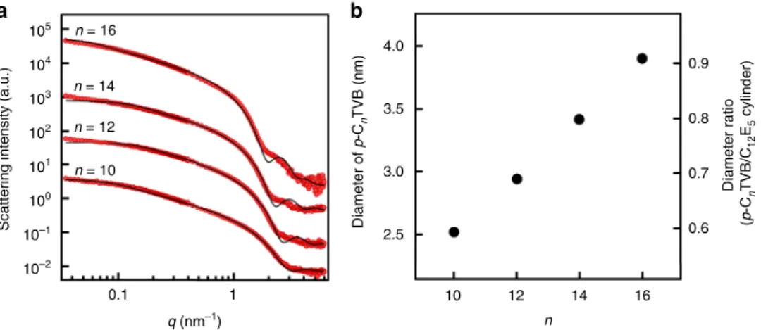 Fig. 1 SANS form factor analysis of p-C n TVB. a SANS intensities of 0.1 wt% p-C n TVB in D 2 O (10 mM NaCl) for n = 10, 12, 14, and 16 (red)