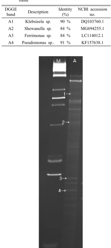 Figure  7. Denaturing  gradient  gel  electrophoresis  (DGGE)  analysis  of  surface  sediment  at  20  day.