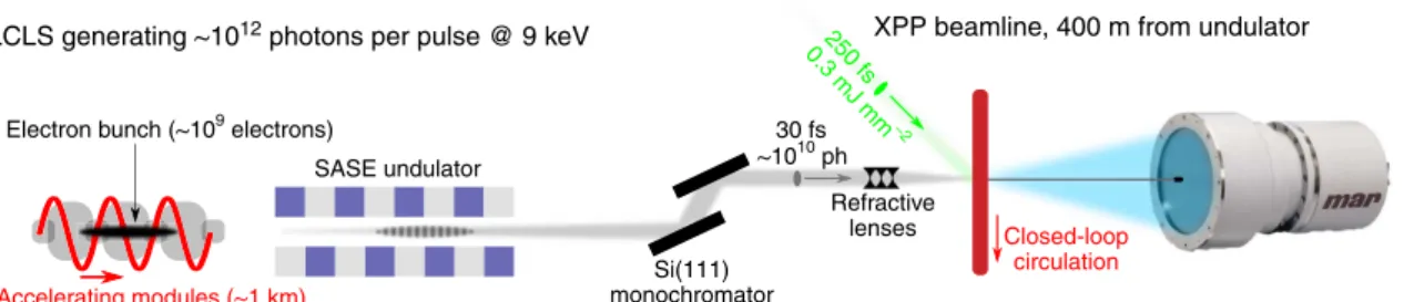Figure 1 | Experimental set-up. The sample (a 2.35-mM MbCO solution) was circulated in a closed loop through a fused-silica capillary (0.3 mm diameter) positioned at the overlap between the X-ray pulses (9 keV, 30 fs) produced by the LCLS ( B10 10 photons 