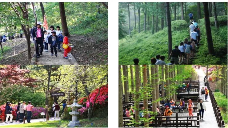 Figure 1. Cheongnamdae forest education program(up), Cheongnamdae President’s tracking course(bottom).