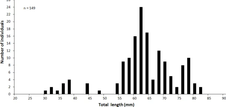 Figure 3. Length frequency distributions of Phoxinus  phoxinus at the spring water in Eocheon Stream, from January to December 2016.