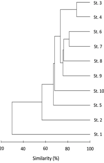 Figure 3. Dendrogram for the cluster analysis based on  similarity index of the fish species found among the stations in the Heuk Stream, Korea from  April to October 2018