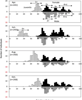 Figure 5. Total length frequency distribution of Rhodeus pseudosericeus in the Heuk Stream, Korea from April to October 2018