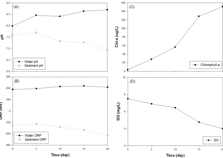 Figure 2. Variation of parameters (A) pH, (B) ORP, (C) Chl-a, (D) DO for 20 days in the column.