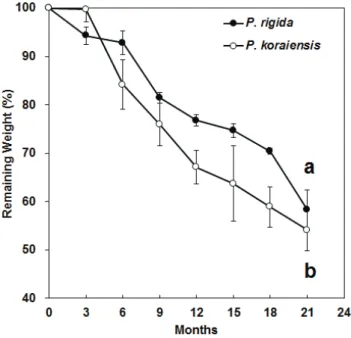 Figure 2. Remaining weight(%) in decomposing leaf  litter of Pinus rigida and Pinus koraiensis on  the study area