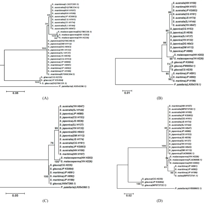 Figure 1. Phylogenetic tree among 21 samples of five species by MEGA6 program. Maximum Likelihood statistics  with 1,000 bootstrap replicated based on the (A) ITS, (B) matK, (C) psbA-trnH, (D) trnL-trnF sequences.