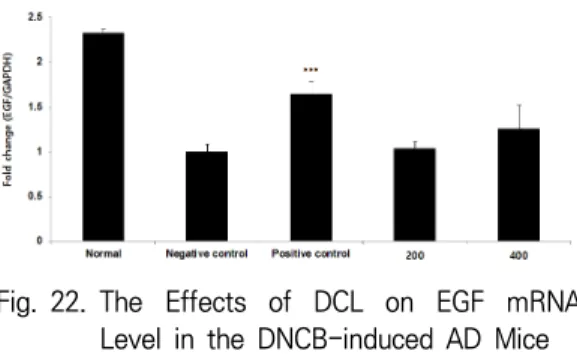 Fig. 21. The  Effects  of  DCL  on  TGF-β1  mRNA  Level  in  the  DNCB-induced  AD  Mice