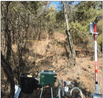 Figure 3. A photo for measuring soil CO 2  efflux