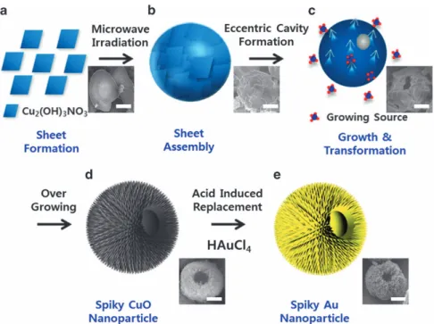 Figure 2 shows the morphology and inner structure of the colloidal gold particles with eccentric cavities investigated by ﬁeld-emission scanning electron microscopy and electron energy loss spectroscopy mapping