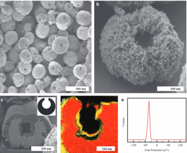 Figure 2 Morphology and inner structure of gold nanoparticles with eccentric cavity. (a) SEM image of gold nanoparticles with open eccentric cavity