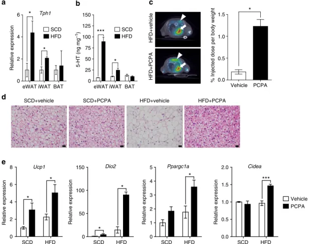 Figure 2 | PCPA increased metabolic activity in BAT. (a) Tph1 mRNA expression in adipose tissues was assessed by quantitative reverse transcriptase– PCR (qRT–PCR) after 2 weeks of HFD feeding