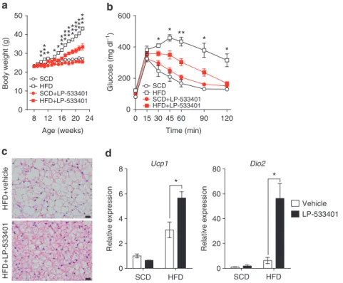 Figure 4 | LP-533401 protects against diet-induced obesity and increased BAT activity