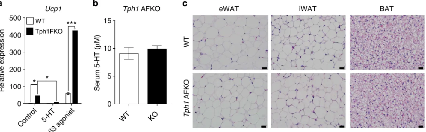 Figure 5 | Cell autonomous function of 5-HT in adipocytes. (a) Ucp1 mRNA levels were analysed by quantitative reverse transcriptase–PCR (qRT–PCR) using SVF from the BAT of Tph1 FKO mice or their WT littermates