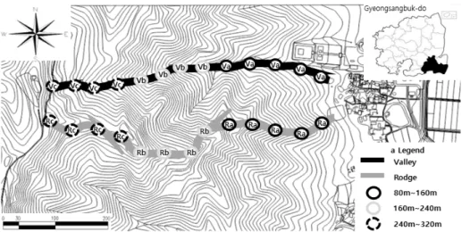Figure 1. Research site and measurement points.