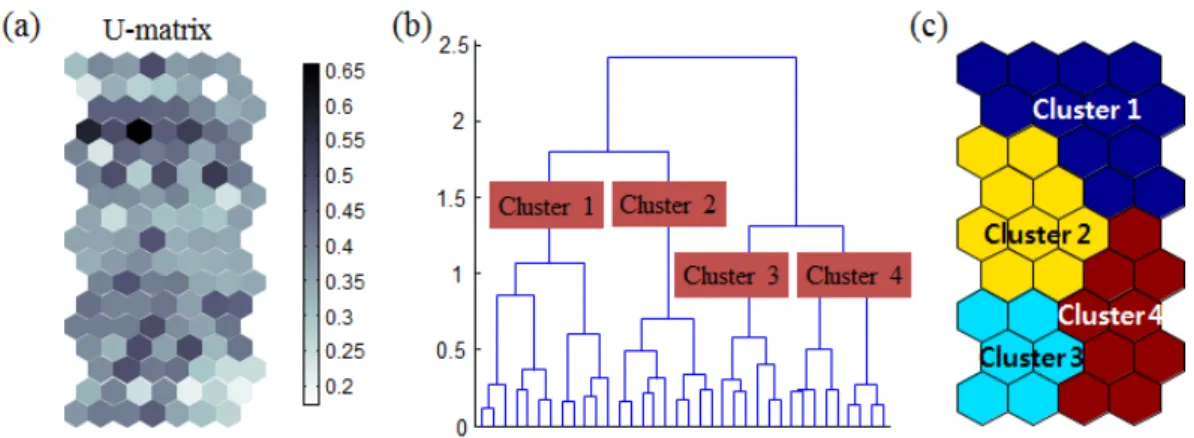 Figure 3. Clustering through data learning by the self-organizing map. (a): U-matrix (b): clustering result, and (c): 