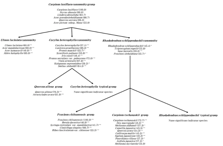Fig  2.  Indicator  species  hierarchy  of  Carpinus laxiflora  communities.  All  species  with  an  indicator  value  >  20%  are mentioned  for  each  site  hierarchy  where  they  are  found